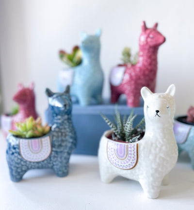 Ceramic Alpaca Planters