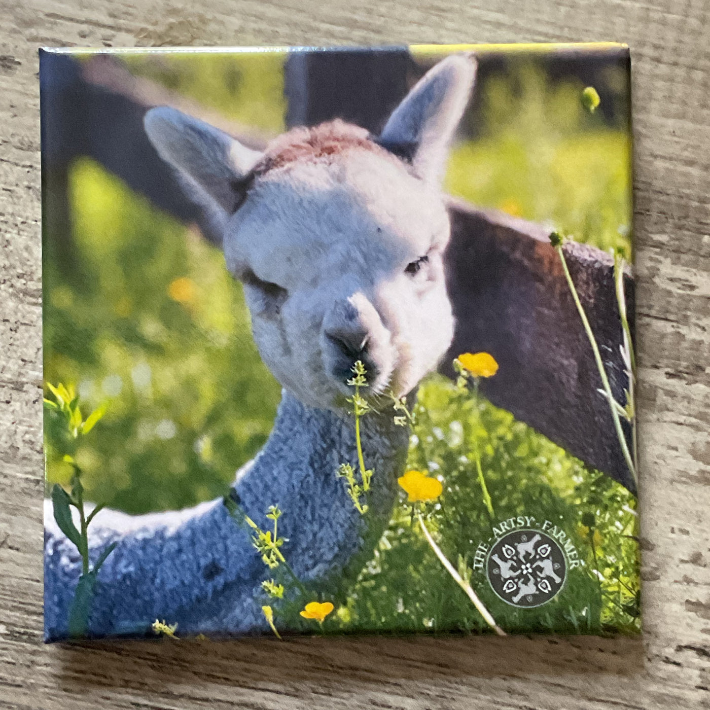 Alpaca Magnets