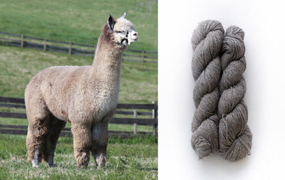 All Natural 4ply Farm Yarn