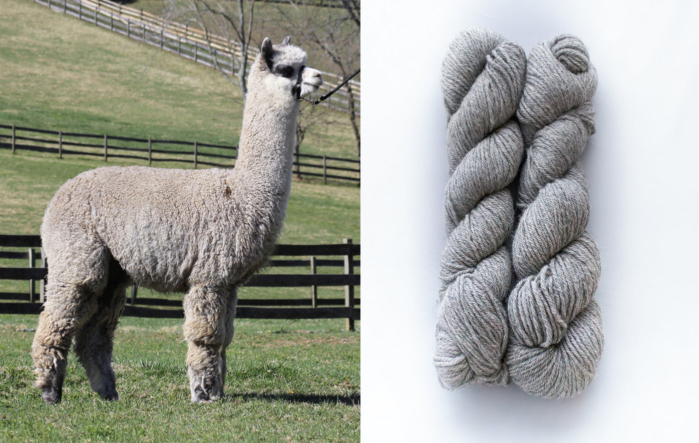 All Natural 4ply Farm Yarn