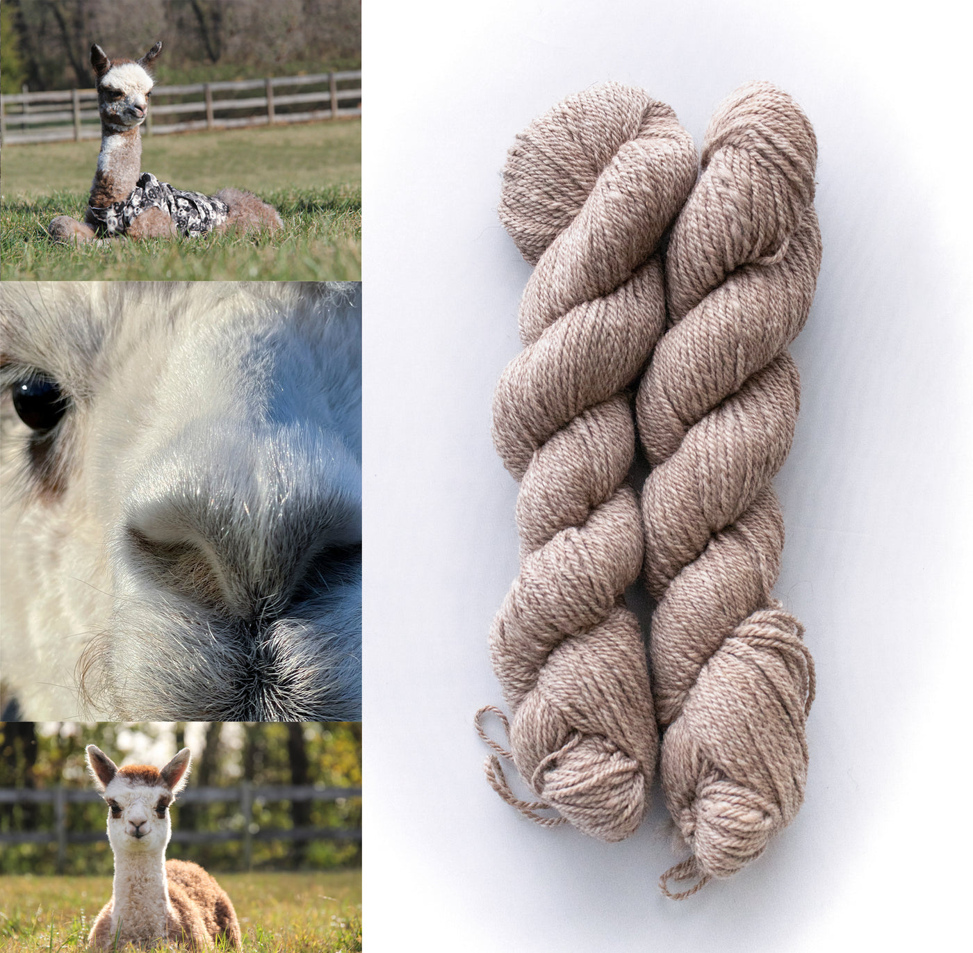 All Natural 3ply Farm Yarn