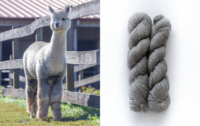 All Natural 4ply Farm Yarn