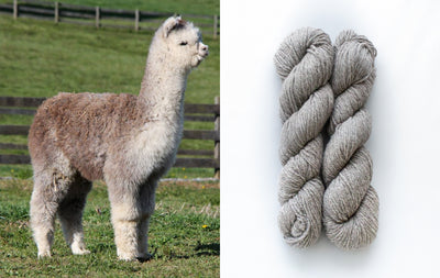 All Natural 4ply Farm Yarn