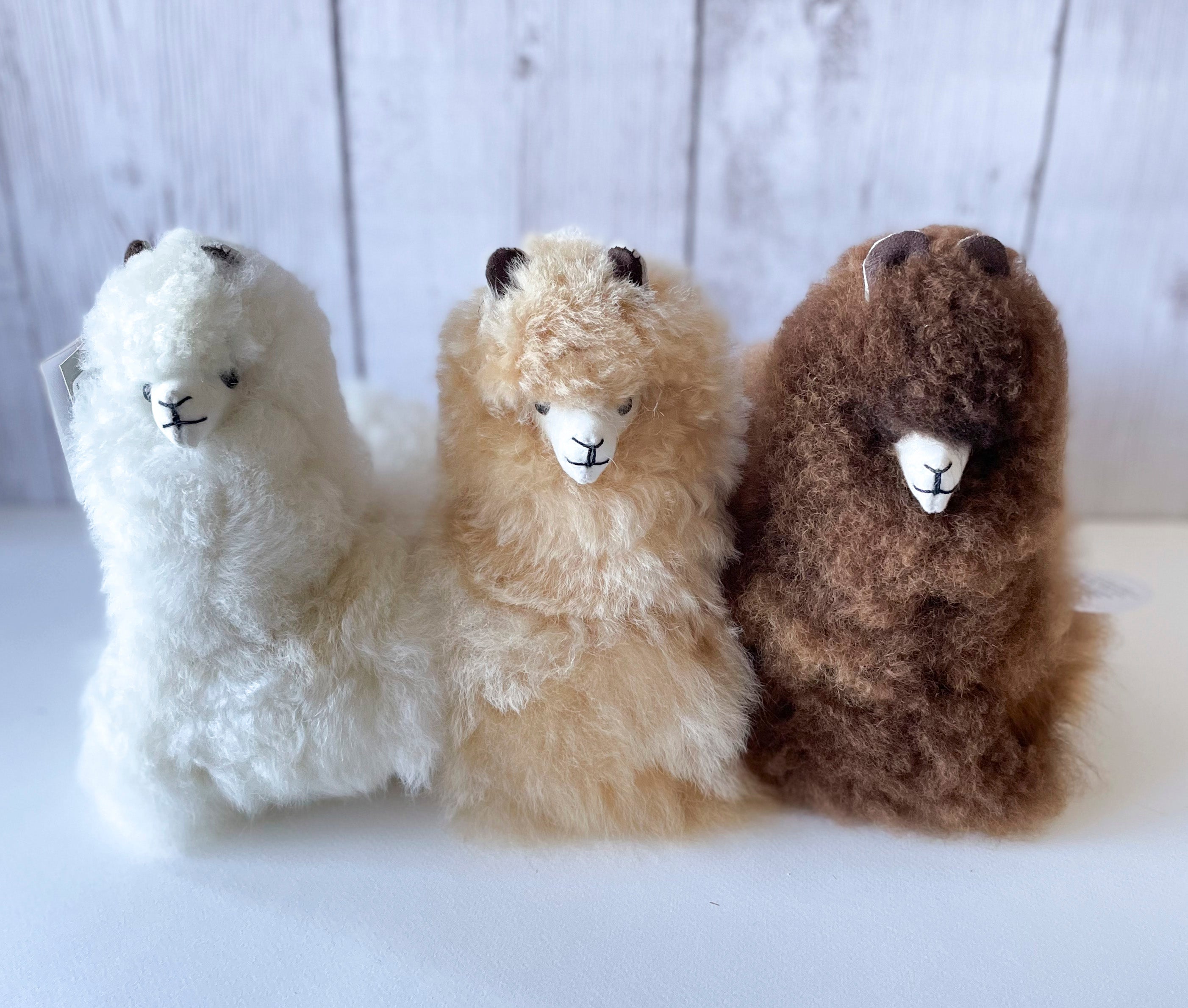 Cushing Alpaca – The Artsy Farmer