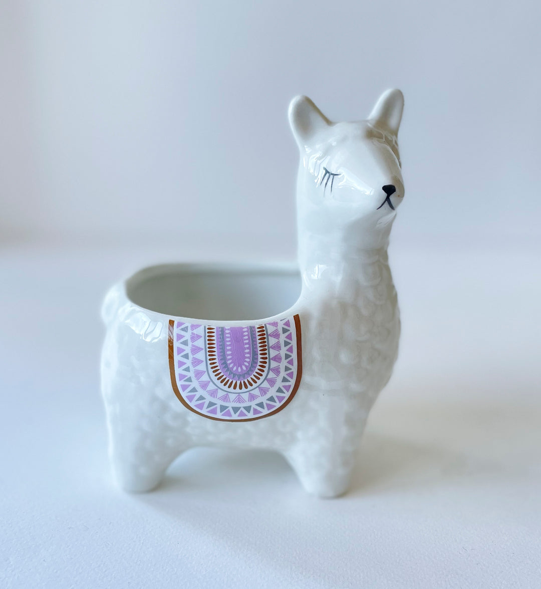 alpaca succulent planter Alpaca Planter – The Artsy Farmer